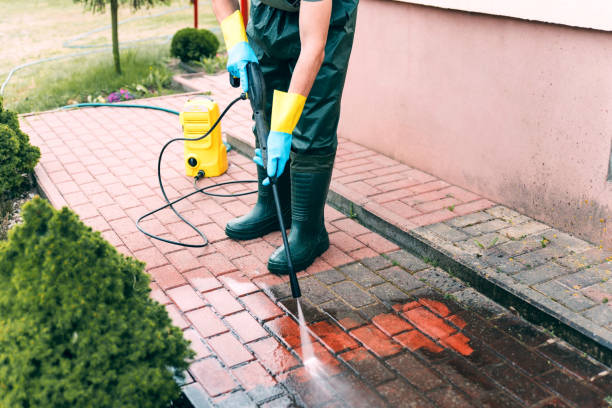Best Dumpster Area Cleaning  in Tupelo, MS